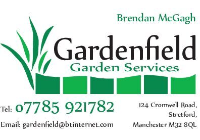 Business Card No Trim Marks