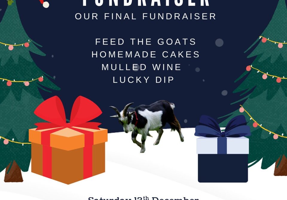 23 Anywhere St., Any City, ST 12345 - 1