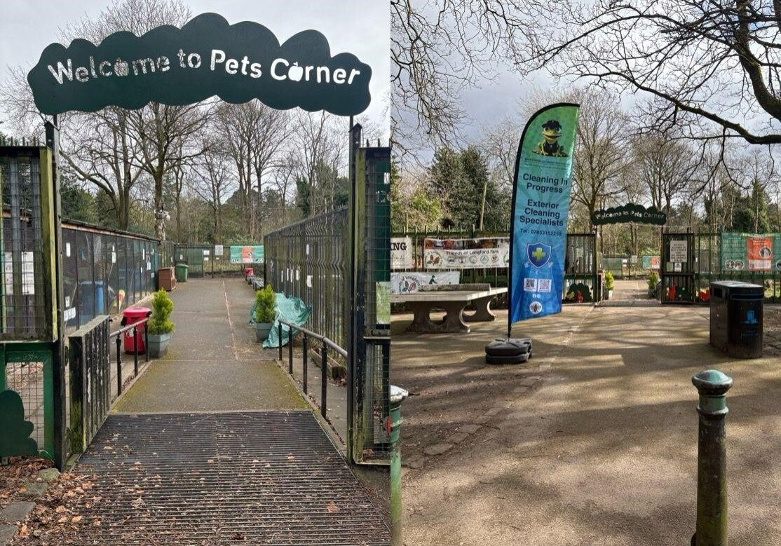 Pets corner